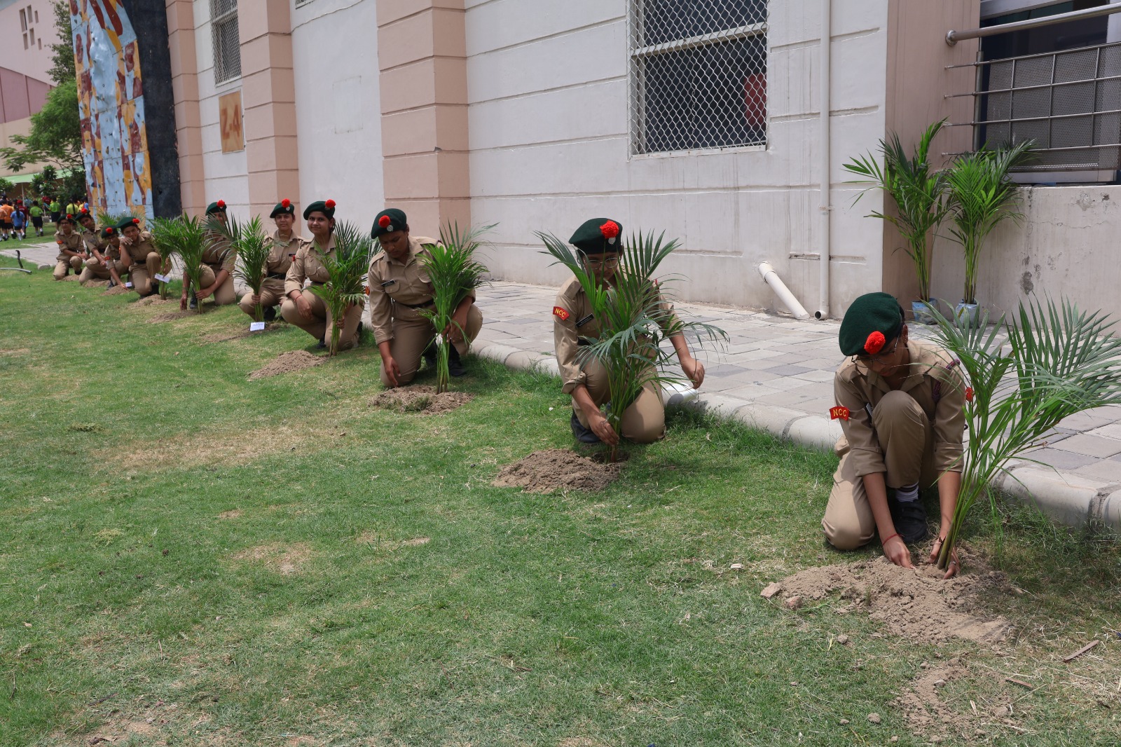 Tree Plantation Drive